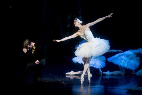 Swan lake National Theatre Brno Michal Krcmar Se Hyun An  (9)