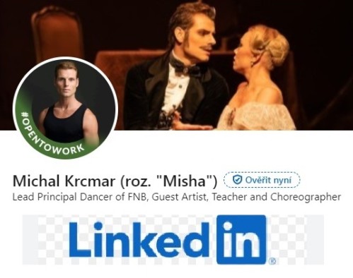 linkedin Michal Krcmar Art Agency